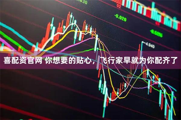 喜配资官网 你想要的贴心，飞行家早就为你配齐了
